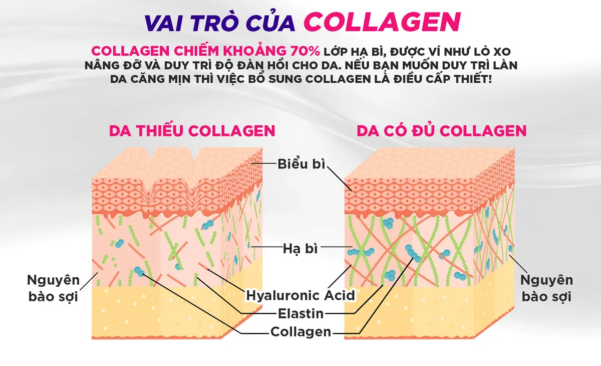 Collagen Nước DHC