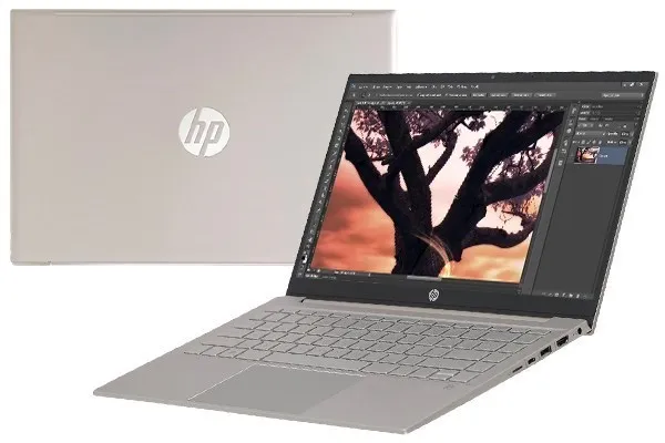 Laptop HP Pavilion 14 dv0516TU